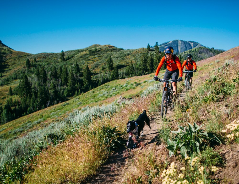 Rusch-Riding-With-Dog