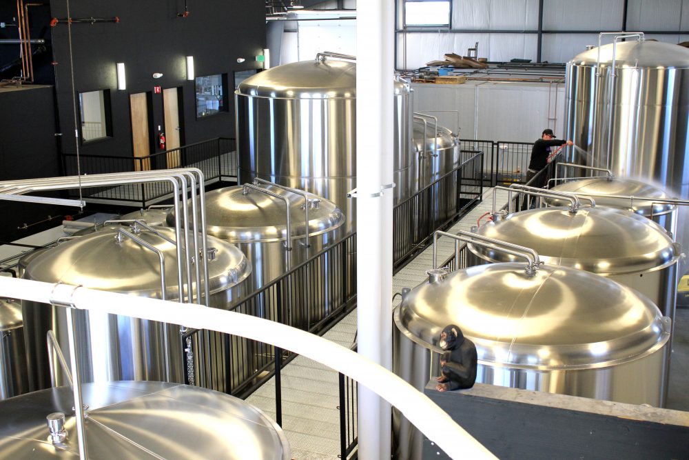10 Things You Should Know About 10 Barrel - BigLife Craft Beer