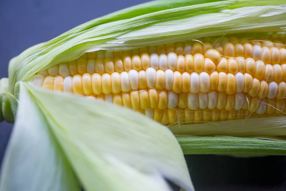 corn soup recipe