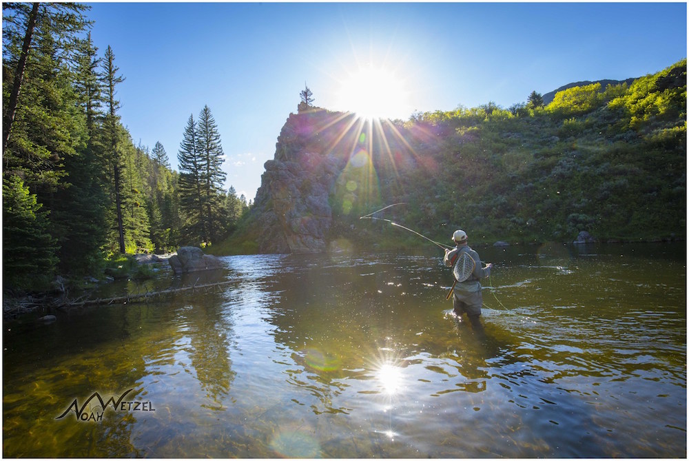 rickflyfishingtailwaters